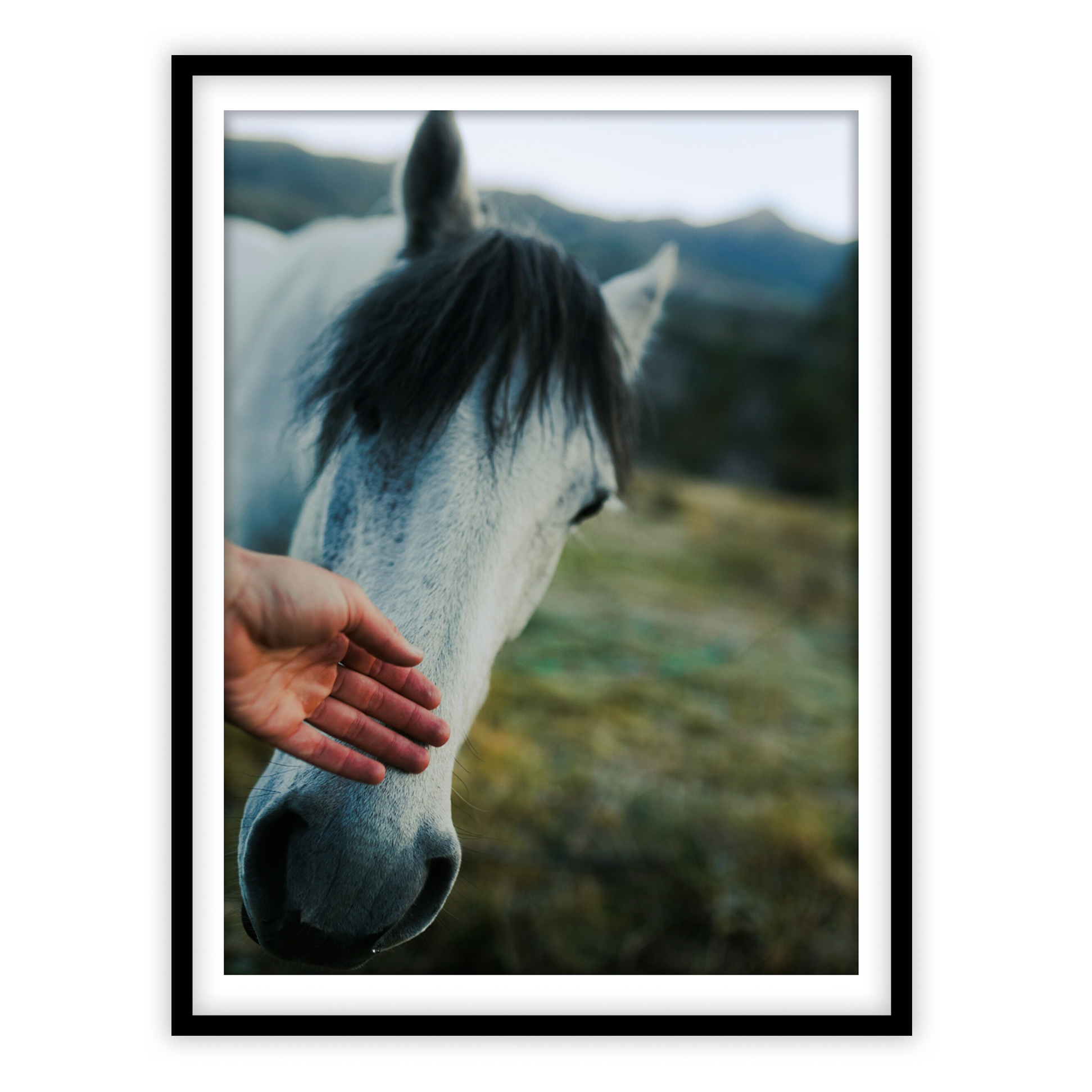 Learning to Trust Again