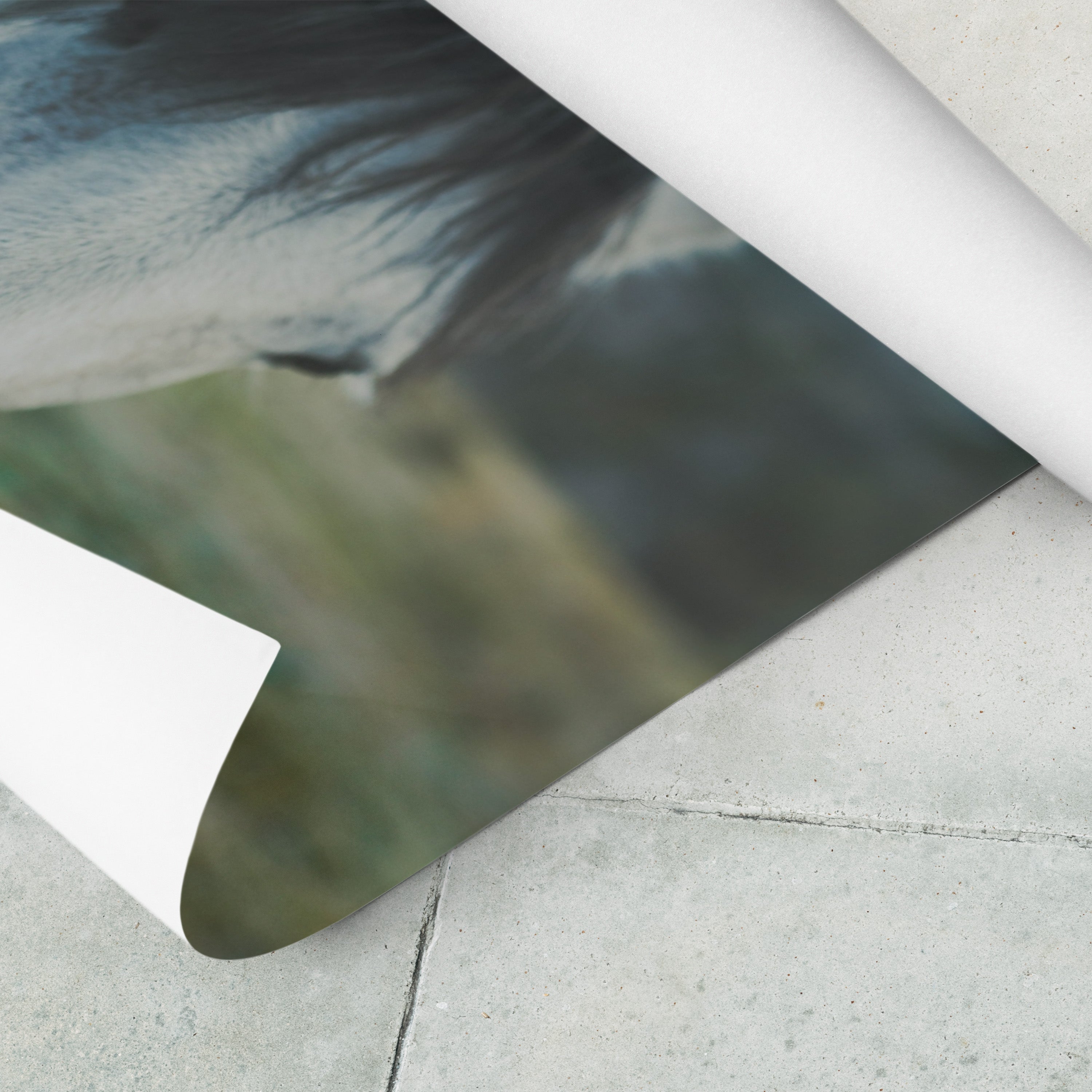 Learning to Trust Again