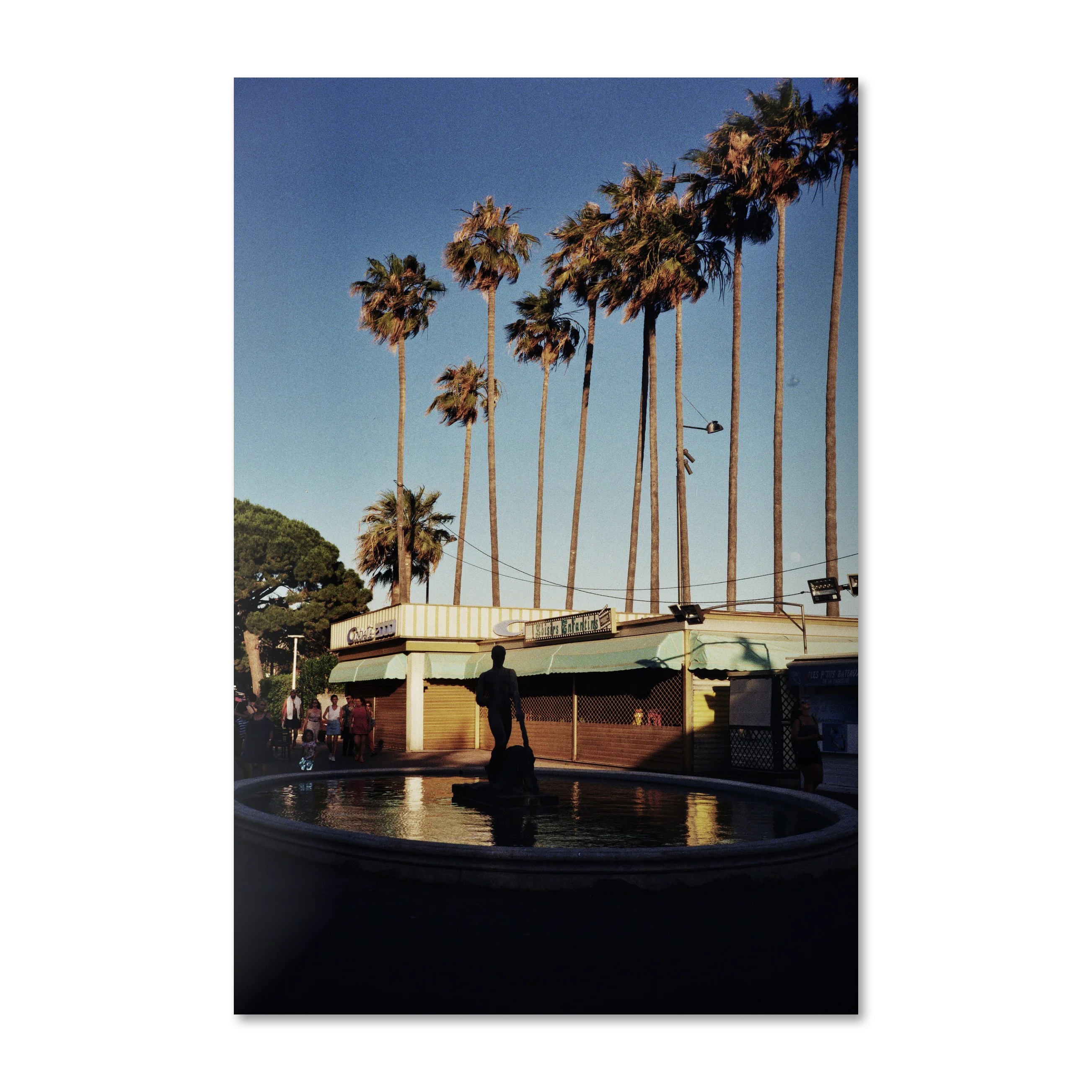 Mediterranean 22 Palms at Dusk — Cannes promenade wall art on frameless Alu-Dibond