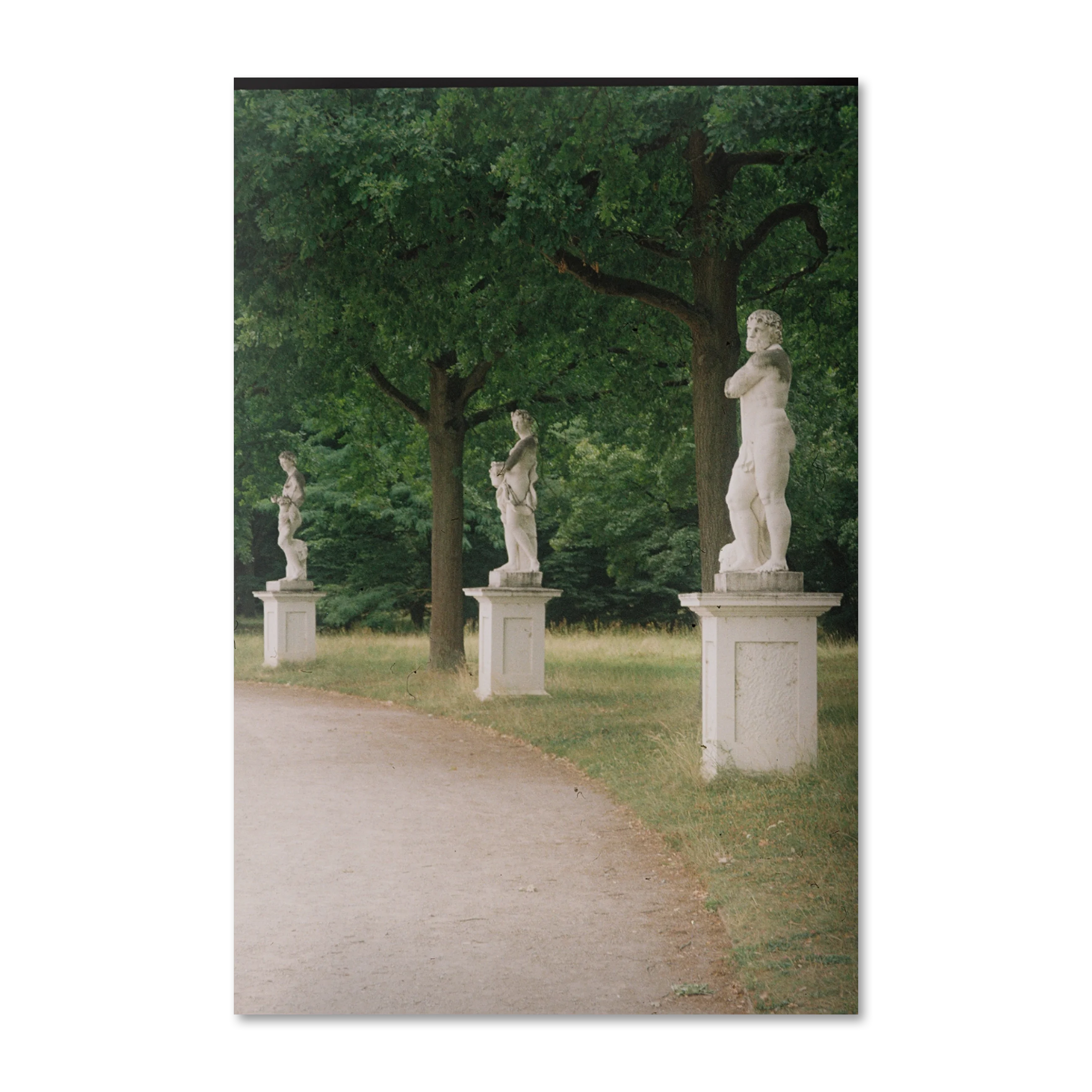 Nature 3 — artwork pack-shot, wall art print