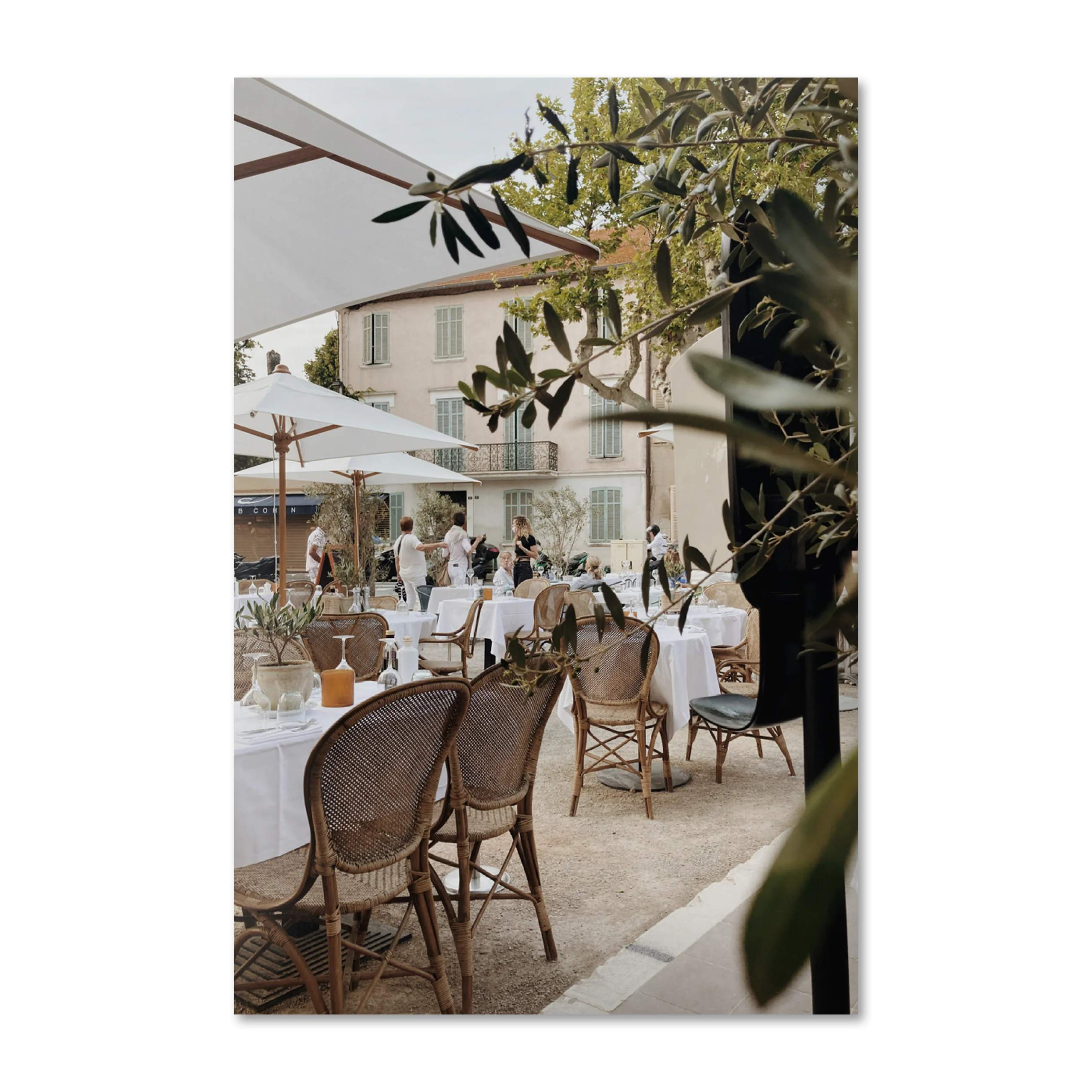 Mediterranean Olive Hour — Provençal terrace photography wall art on frameless Alu-Dibond