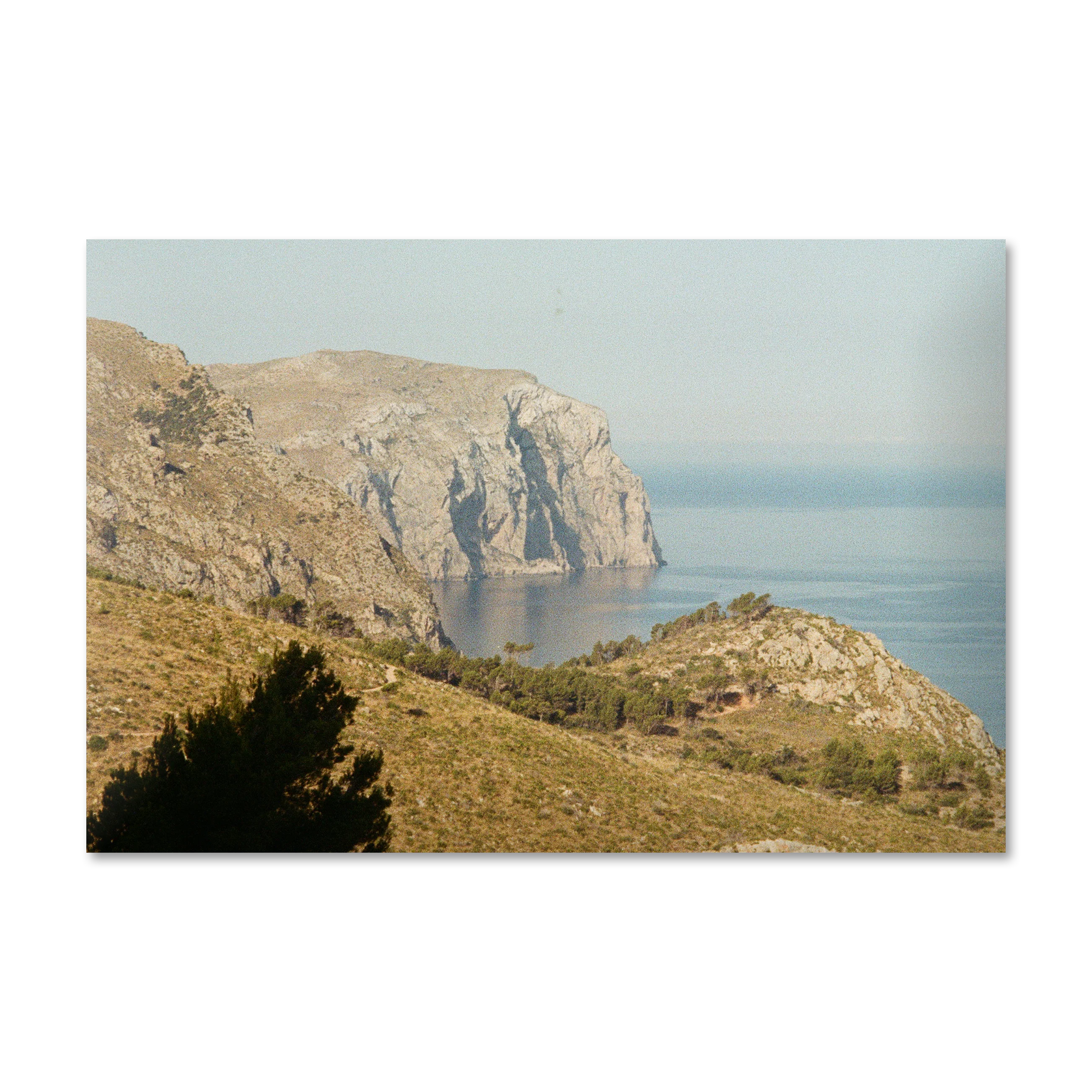 Verde Mare — Mediterranean coastal cliff and pine, frameless Alu-Dibond wall art print